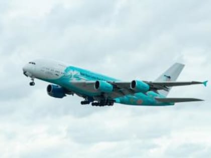 Десятки агрохозяйств Дона оштрафованы за выжигание стерни на полях