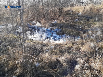 Мусор в карьере власти пообещали убрать за бюджетные деньги