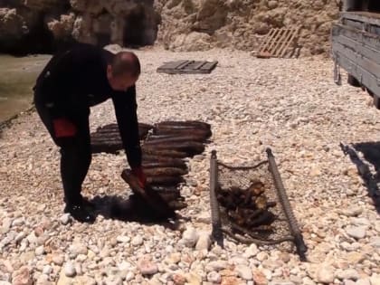 Сотрудники МЧС подняли со дна одной из бухт Севастополя 700 боеприпасов