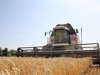 В Ростовской области ожидается рекордный урожай зерна