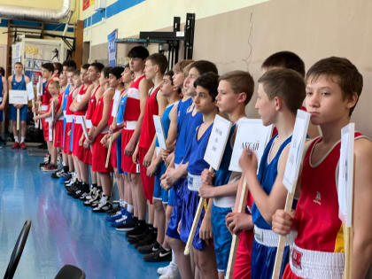 1 мая завершился Открытый городской турнир по боксу, посвященный 85-летию Владимира Аллавердяна