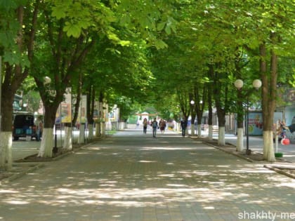 Начало недели встретит шахтинцев сильной жарой и ветром