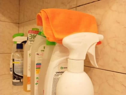 В Ростове на уборку районных администраций и ЗАГСов потратят более 50 миллионов рублей