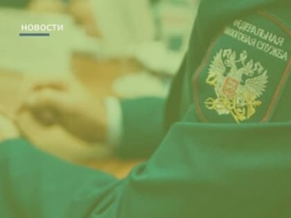 Информация о планируемых семинарах на 1 квартал 2025 года