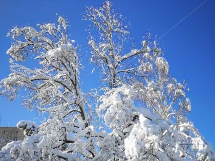 В канун Старого Нового года шахтинцев ждет сильный мороз