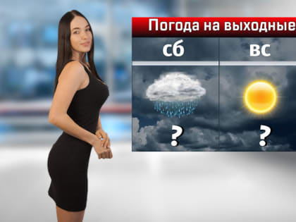 В Ростовской области на выходных ожидается ураганный ветер