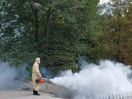 Клещей в парках Ростова начали уничтожать при помощи «горячего тумана»
