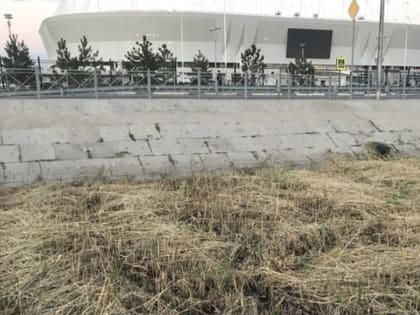 Участки рядом со стадионом «Ростов Арена» отдали под застройку букмекеру
