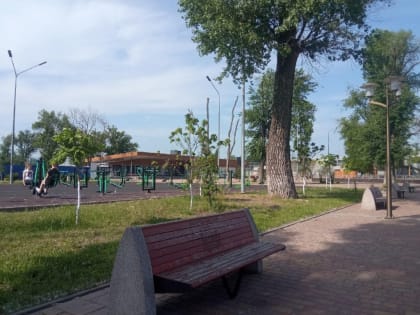 В Ростовской области ожидаются усиление ветра и жара до +35