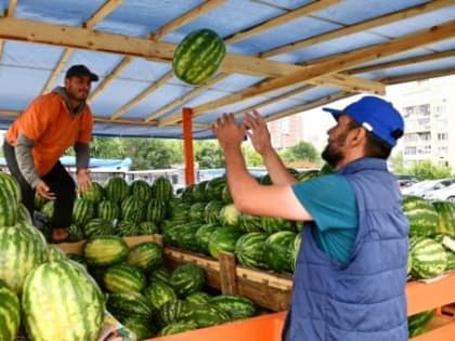 Логвиненко потребовал проверить торговлю арбузами и дынями в Ростове