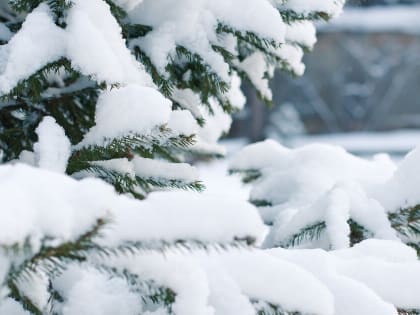 Север Ростовской области засыпало снегом в начале декабря в 2021 году