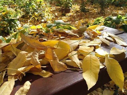 Шахтинцам обещают осеннюю прохладу и облачное небо