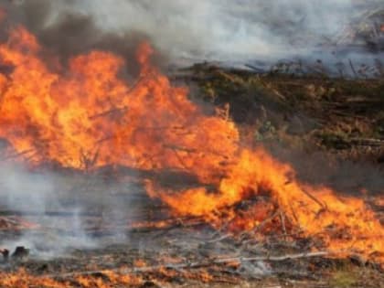 На Дону за выжигание сухой растительности уже возбуждено более десятка производств
