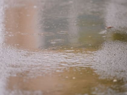 Небольшое похолодание и дождь ожидается в Ростове 20 августа