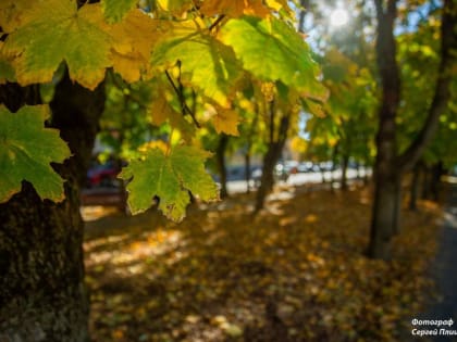 Теплая погода ожидается в Таганроге на выходных