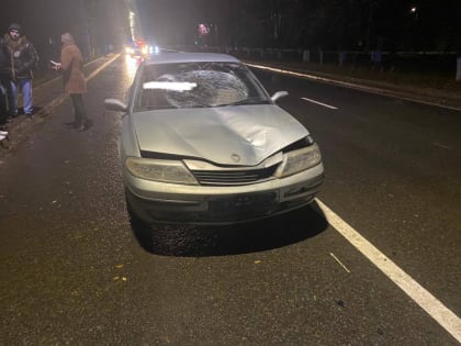 Иномарка насмерть сбила перебегавшего дорогу в неположенном месте жителя Ростова