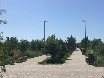 Парк в микрорайоне Суворовском могут сдать раньше срока