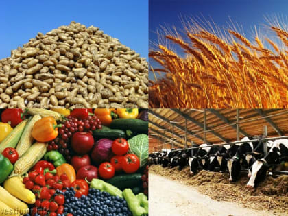 Ростовская область намерена наладить экспорт продукции АПК в Южную Америку