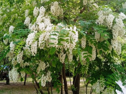 Погода в Таганроге 17 мая: пасмурная пятница, +18°, возможен дождь