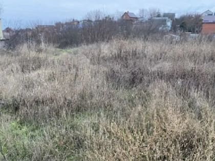 Бассейн и чайная комната: сколько стоят самые дорогие участок, дом и квартира, продающиеся в Ростове