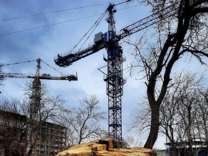 Ростовчане прощаются с природой и историей, обсуждая символичное фото