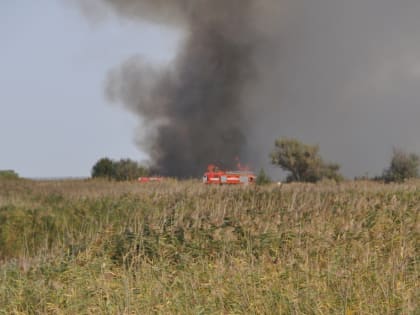 В Ростовской области прогнозируется дальнейший рост числа ландшафтных пожаров