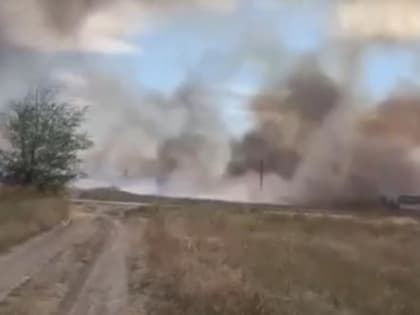 В Ростовской области ландшафтный пожар затронул поселок, сгорели 3 дома