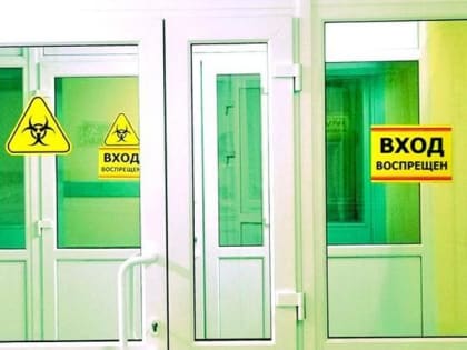 В Ростовской области выявили новый штамм свиного гриппа