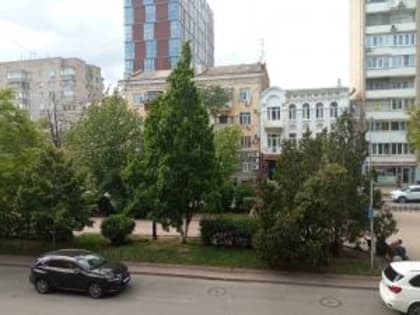 Новых заболевших коронавирусом нашли в 48 муниципалитетах Ростовской области