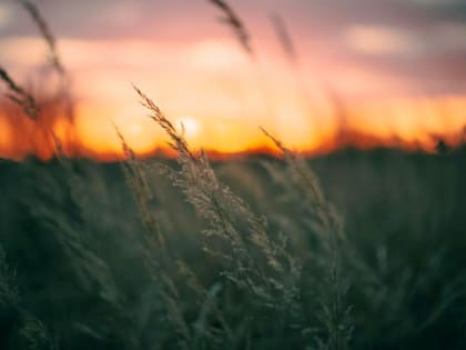 Осеннее равноденствие: переход Солнца в Южное полушарие