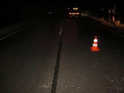 В сгоревшем автомобиле на трассе Волгодонск – Зимовники 10 августа погибли двое детей