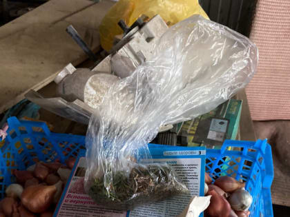 В Ростовской области в один день транспортные полицейские изъяли сразу у двух местных жителей марихуану в крупном размере