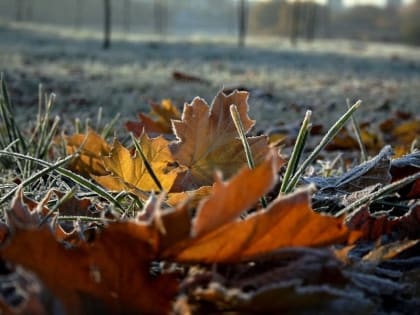 В первую неделю октября в Ростовской области ожидается похолодание