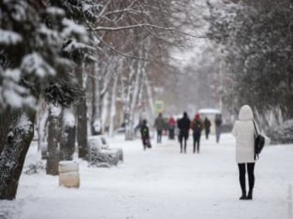 В Ростове и Таганроге выявили рекордное число заболевших коронавирусом