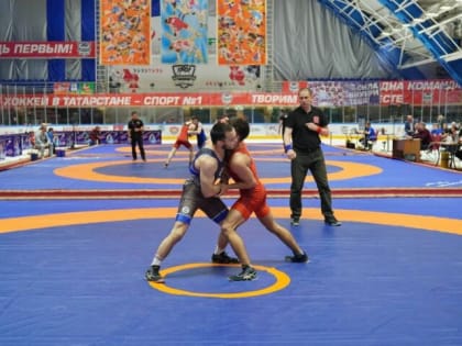 Ростовские борцы на медальном пьедестале