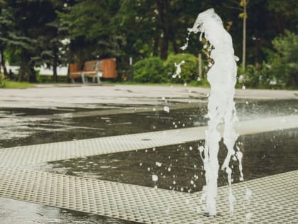 Жару до 37 градусов в тени прогнозируют в Ростове в воскресенье