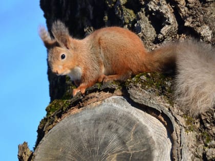 В Ростовской области вновь потеплеет до +14 градусов днем 7 декабря 2021 года