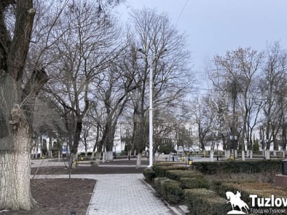 В Новочеркасске в сквере имени Платова установят новые скамейки и мусорные урны