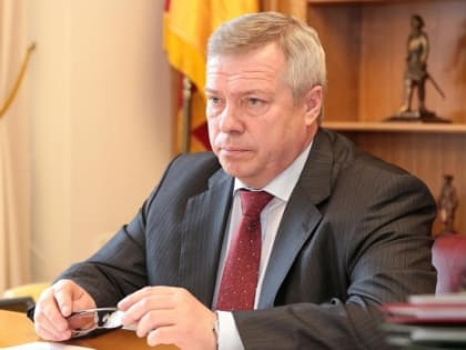 Губернатор Ростовской области опроверг уход иностранных инвесторов из региона из-за санкций