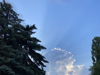 Шахтинцам пообещали солнечную и жаркую погоду