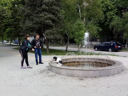 В Волгодонске заработали первые фонтаны. Остальные – в процессе ремонта