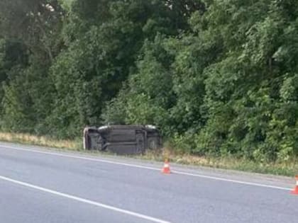 В Новочеркасске заключили под стражу пьяного водителя, устроившего смертельное ДТП