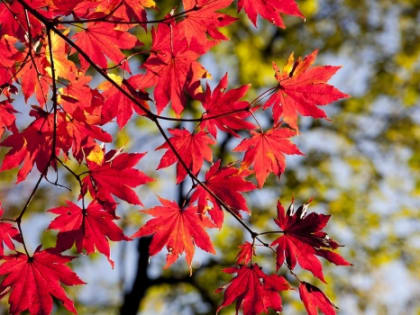 В четверг в Ростове будет прохладно и солнечно