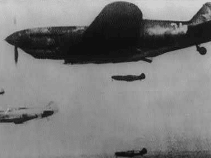 На родной земле в Ростове захоронят погибшего в 1942 году летчика 28 апреля