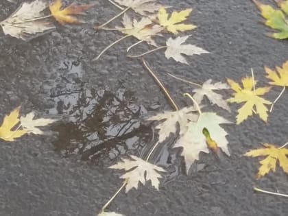 Прохладно, пасмурно и дождливо будет в Ростове в выходные