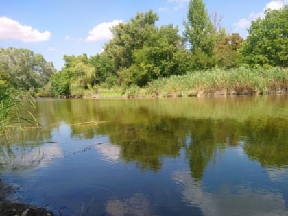 После дождей с грозами в Новочеркасск вернётся сильная жара