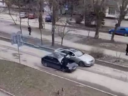 «Мигранты» на капоте автомобиля устроили демонстрацию в центре Волгодонска