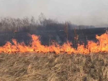 МЧС предупреждает о высокой пожароопасности в Константиновском районе