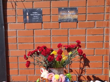 Дети свободно разгуливают по развалам скандального дома на Нариманова в Ростове