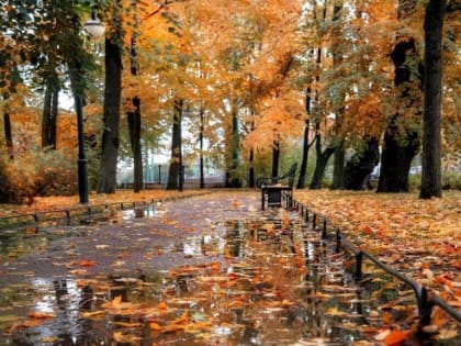 В Ростовской области на выходные потеплеет и будут лить дожди